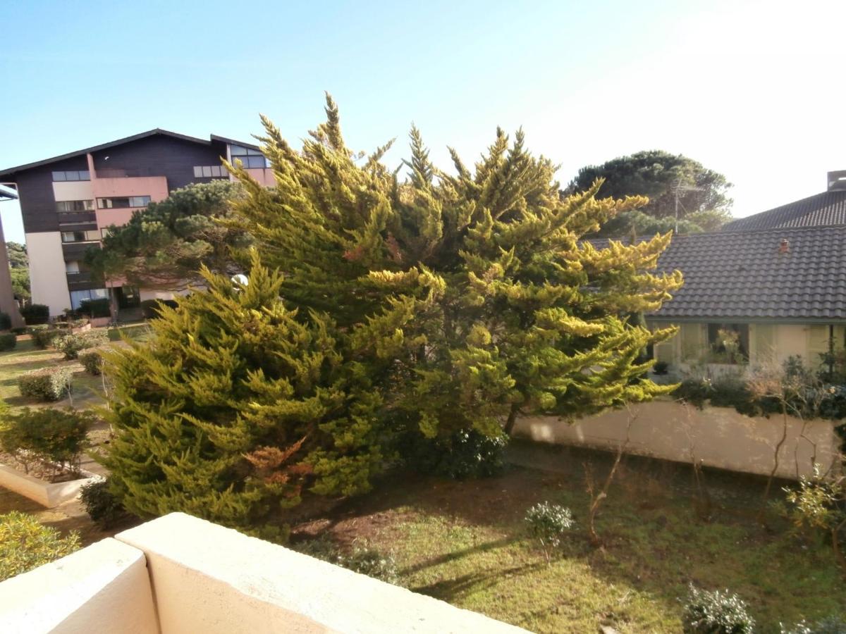 Appartement Renove Avec Balcon, Proche Plage Et Marche - 4 Pers, Calme & Confort A Seignosse - Fr-1-239-460 Εξωτερικό φωτογραφία